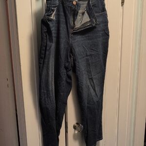 Lane Bryant High Rise Dark Blue Jeans 24